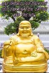 fat buddha