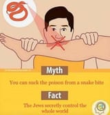 myth