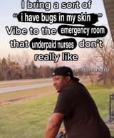 bugs