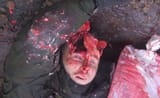 russian_no_brains
