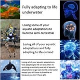 1748817082106572