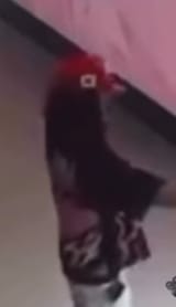 1724829095795195