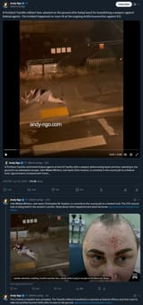 Screenshot 2025-06-26 at 17-16-31 Andy Ngo on X A Portl[...]
