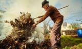 14 billion dead leafs burning in a pile