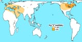 Haplogroup X