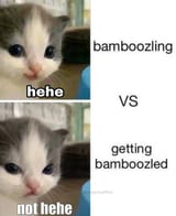 bamboozling