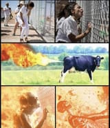 CowFartDotJayPeeGee
