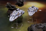 Terran-Alliance-Battlecruiser-Group
