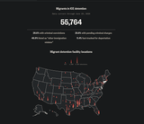 illegals in ICE detention