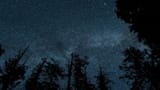 stars-forest-night-sky-sky-dark-night-1831645-wallhere.com
