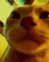 1600704047130_thumb.jpg