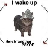 1680903746509938