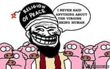 pigs