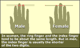 MvF_hands