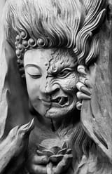 Duality