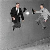 fly bushes