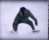 Chimp On Ice