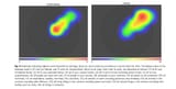 Empathy Heat Map Conservatives v Liberals