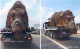 dino transport