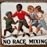 no race mixing