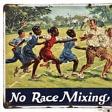 no race mixing III