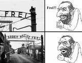 shlomo71