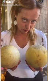 meloni coi meloni