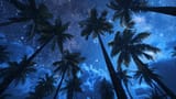 Tropical Nachthimmel
