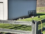 IMG_20241126_130950349_HDR