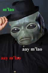 1606029948688