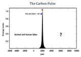 The Carbon Pulse - 60%