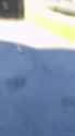 Walkable City - Black on White Crime - Shebooniqua beats random white girl in broad daylight for no reason [892c1641_20241123161156_t-1] (no audio) (2MB)_thumb.jpg