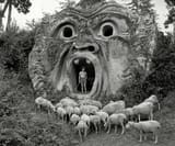 Giantface