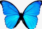 Screenshot_20240313_125044_Chrome