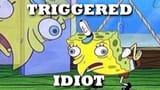 TRIGGERED