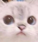 1611673074927