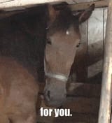 1747582022221724