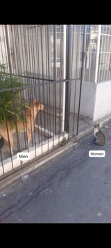 IMG-20250627-WA0021