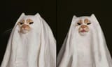 spooky