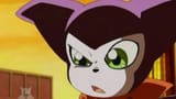 impmon5