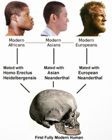 human-races &amp; congoid