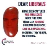 bean shapiro