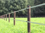 Elektrischer-Zaun-Weidezaun-für-Pferde