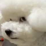 1738045718193336