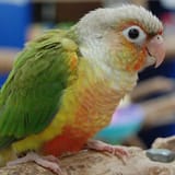 0d492632d07041a460e2f58da5b87cdc_600x
