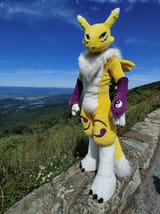 renamon9