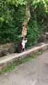 a4PWy7y_460svav1 (1)_thumb.jpg