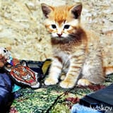 IMG_20250627_031607_975