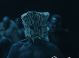butternut_mask_isolated