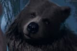 Baldurs-Gate-3-Lets-You-Make-Love-with-Bears-•